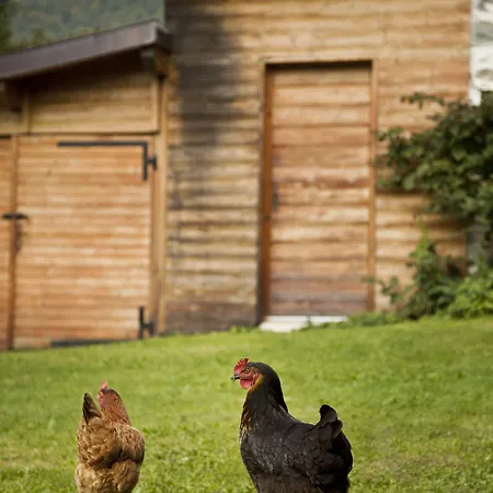 La Ferme De Noémie
